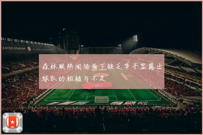 森林狼热闹场面下缺乏华子显露出球队的粗糙与不足
